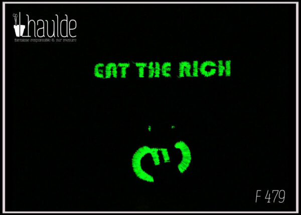 le texte eat the rich, les pupilles du chat et le symbole euro en fil phosphorescent dans le noir